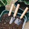 Herramientas de Jardinería para el Hogar Juego de Tres Piezas Pala Pequeña de Hierro Pala Pequeña Aflojar Tierra de Macetas Deshierbe Plantación de Verduras Crecimiento de Flores Herramientas