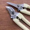 Tesoura de poda de galhos em aço inoxidável para colher frutas, flores e galhos de árvores, tesouras de jardim para galhos de árvores frutíferas, flores, ferramentas de tesoura de jardinagem para enxertia