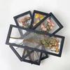 Suporte de Exibição de Porta-Retrato de Armazenamento de Flores Secas Rosa para o Dia dos Namorados, Rack de Armazenamento para Joias de Colar, Espécimes de Animais e Plantas