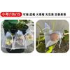 Bolsa para Frutas Bolsa de Gasa para Fresas Bolsa Protectora para Uvas Bolsa de Gasa a Prueba de Insectos y Pájaros Malla Fina Bolsa con Cordón