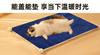 Manta para Gato y Perro Transfronteriza Universal para Cuatro Estaciones Colchoneta para Perro Cálida Engrosada Alfombra de Piso Nueva Colcha para Mascota Colchoneta para Dormir de Doble Capa