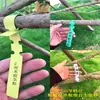 Etiqueta de Anillo Impermeable de PVC Hongrong al por mayor Etiqueta para Plántulas Etiqueta para Flores Jardinería Etiqueta para Plantas Hebilla de Anillo Señal