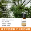 Vela de Aromaterapia para Plantas Transfronteriza Aceite Esencial Aceite Único Soluble en Aceite Jabón Artesanal DIY Jabón en Frío Bálsamo Vela Aceite Esencial de Aromaterapia