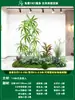 Paisagismo de Planta Artificial Varanda Arranjo de Paisagem Escada Interna Sob Árvore de Flores Artificiais Decoração Biomórfica Planta Verde Paisagismo Combinação