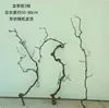 Dátiles de Dragón Secos, Ramas, Troncos de Árbol para Decoración, Garras de Dragón Curvas, Ramas Secas para Arreglos Florales, Arte Wabi-Sabi, Flores Secas Estilo Zen Secadas al Aire