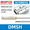 Gama completa de interruptores de sensor magnético CS1-G-S-F-M-U-J para cilindros D-A93/C73/M9N de dos/tres hilos D-A54