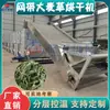 Secador Grande de Hierba de Cebada Centeno Silvestre Cebada Silvestre Secador de Alimento Equipo de Secado Totalmente Automático para Hierba de Avena