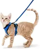 Productos para Mascotas Correa de Pecho Transpirable para Gatos Reflectante Anti-rotura Correa para Caminar Gato Libre Correa para Gato Correa de Pecho para Perro Pequeño