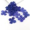 Piezas de Flor de Hortensia Quemada Simulada Flores Simuladas Semiterminadas Flores Artificiales Frescas Accesorios de Decoración para Zapatos y Sombreros para el Hogar