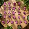 Accesorios para Zapatos Rosas con Letras y Números de Venta Caliente Transfronterizos, Bolsos Bogg, Hebillas Decorativas Desmontables para Zapatos DIY
