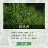 Paquete de Materiales para Velas DIY de Aceite Esencial de Aromaterapia Lámina de Cera Hecha a Mano Difusor de Yeso Fragancia Ligera Fragancia para Hombres y Mujeres