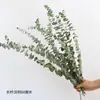 Pinha Flores Secas Artesanais Adereços de Fotografia Materiais Florais DIY Decorações para Sala de Estar Presentes de Natal
