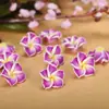 Flor de Arcilla Suave Hecha a Mano de 15 mm Flor de Plumeria Pulsera de Vacaciones en la Playa DIY Pasador Accesorios de Joyería para el Cabello Material