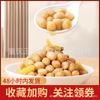 Cacahuates Picantes Encurtidos Youyou 100g, Cacahuates Sabor Chile Picante, Snack Listo Para Comer Para Beber, Cacahuates Picantes Encurtidos al Por Mayor