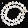 Venda quente transfronteiriça concha de água doce natural amor cinco estrelas círculo lunar várias formas contas soltas joias de concha diy