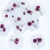 Pegatinas de Sellos de Cera Serie Flores Secas, Cinta de Doble Cara con Diseños de Gipsofila y Planta de Rosa, Etiquetas de Sello de Cera con Flores Secas