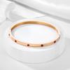 Pulsera de Acero de Titanio con Circonita Colorida de 4 mm, Chapada en Oro de 18K a la Moda, Acero Inoxidable Inmarcesible, Diamante Completo, Pulsera para Mujer