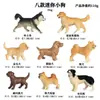 Modelos de Animales Realistas: Doberman, Golden Retriever, Perro de Peluche, Husky, Collie - Adornos para Coche y Juguetes para Niños