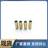 Corredera de Rodamientos de Bolas BGS SSBGS SSBPS 3 4 5 6 8 10 12-10 15 20 30 40