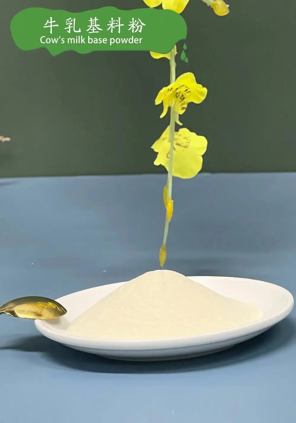 牛乳基料粉图片