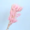 Hierba de cola de conejo seca flor seca decoración del hogar sala de estar arreglo floral DIY material floral decoración literaria fresca ins flor natural venta al por mayor
