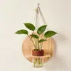 Conjunto de Plantas Verdes Hidropônicas de Parede com Suporte de Parede de Madeira Natural para Sala de Estar, Quarto, Mesa, Decoração Fresca, Plantas Fáceis de Cuidar