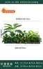 Flores Artificiais Plantas Verdes Conjunto de Divisória Decorativa Flores de Plástico e Seda Decoração de Paisagismo Arranjo de Paisagem Exibição de Janela Interna