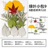 Espécimes de Plantas com Folhas Reais de Outono, Adesivos Artesanais, Flores Secas, Flores Prensadas, Pinturas Decorativas de Folhas DIY, Marcadores de Página de Plantas