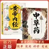 HQ Huangdi Nei Jing Versão em Quadrinhos do Tesouro de Sabedoria da Medicina Tradicional Chinesa Interpretação dos Clássicos para Dominar a Sabedoria Antiga da Medicina Tradicional Chinesa