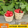 Fabricante de Guangxi Cesta Pequeña de Bambú Cesta Redonda Tejida Cesta Plana de Bambú Cesta Tejida de Flores Cesta Tejida de Almacenamiento Cesta Tejida de Bambú