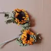 Casca de fruta faça você mesmo, pinha, lascas de madeira, folhas, flores secas, combinação de frutas secas, decoração de natal, decoração de jardim de infância, adereços retrô