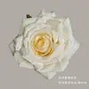 Flores Artificiales Champagne, Rosas y Hortensias Realistas de Alta Gama, Venta al por Mayor para Decoración de Bodas, Materiales DIY para Arte Floral