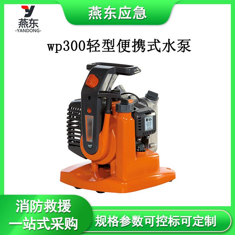 消防应急燕东模板