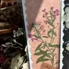 Flores reales flores prensadas tarjetas de felicitación de flores prensadas con tema de bosque, tarjetas de votos, tarjetas, regalos florales, marcapáginas, tarjetas de presentación, tarjetas de invitación y artículos decorativos