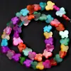 Conchas de Agua Dulce de Colores, Forma de Cruz, Forma de Corazón y Otros Tipos de Conchas, Accesorios para Collares y Pulseras DIY, Productos Semi-Terminados al por Mayor