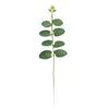 Guirnalda de Ratán con Hojas de Eucalipto Simuladas Hojas de Dinero Verde Accesorios Decoración de Boda Hojas Falsas Planta Verde Hoja de Eucalipto