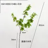 Simulação de relógio de parede japonês com múltiplas folhas planta verde nórdica planta de janela para mulheres atacado rede vermelha estilo INS fotografia de casa de temporada