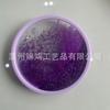 Posavasos de Acrílico con Arena Movediza, Posavasos Creativo de Arena Movediza, Base Aislante de Arena Movediza, Posavasos de Arena Movediza de 10 cm, Imán para Refrigerador, Luminoso