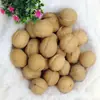 Nozes Aksu 185 de Xinjiang com Casca Fina, Cuidadosamente Selecionadas, Safra Nova 2026, Envio Direto, Nozes Cruas com Sabor Original