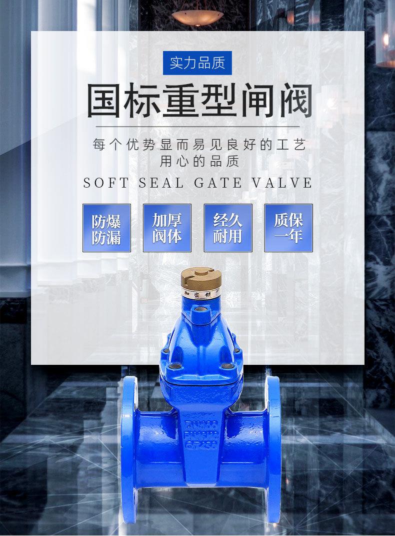 法兰表前阀_01.jpg