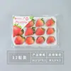 Caja de embalaje para fresas 10/12/15/20 caja transparente desechable para fresas Caja transparente a prueba de golpes exprés para fresas