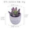 [Suculentas Mini] Planta Suculenta Artificial Bonsái en Maceta de Pulpa de Papel (Maceta Incluida) Adorno Ornamental Imitación de Planta