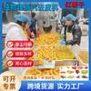Peladora automática de batatas y frutas, equipo para pelar tomates, peladora de melocotones amarillos, industria Dingda