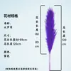Caña Larga Vietnamita Flor Seca de Yunnan Ramo Decoración Esponjoso Fotografía de Boda Del Suelo al Techo Paisajismo Flor Inmortal Natural