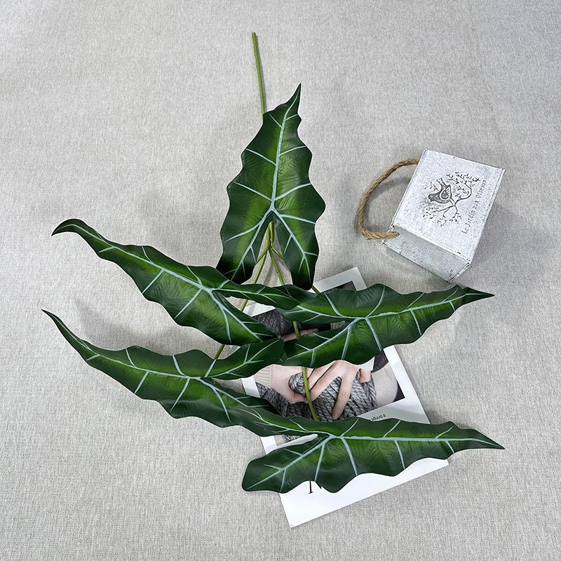 蓝茎深绿色