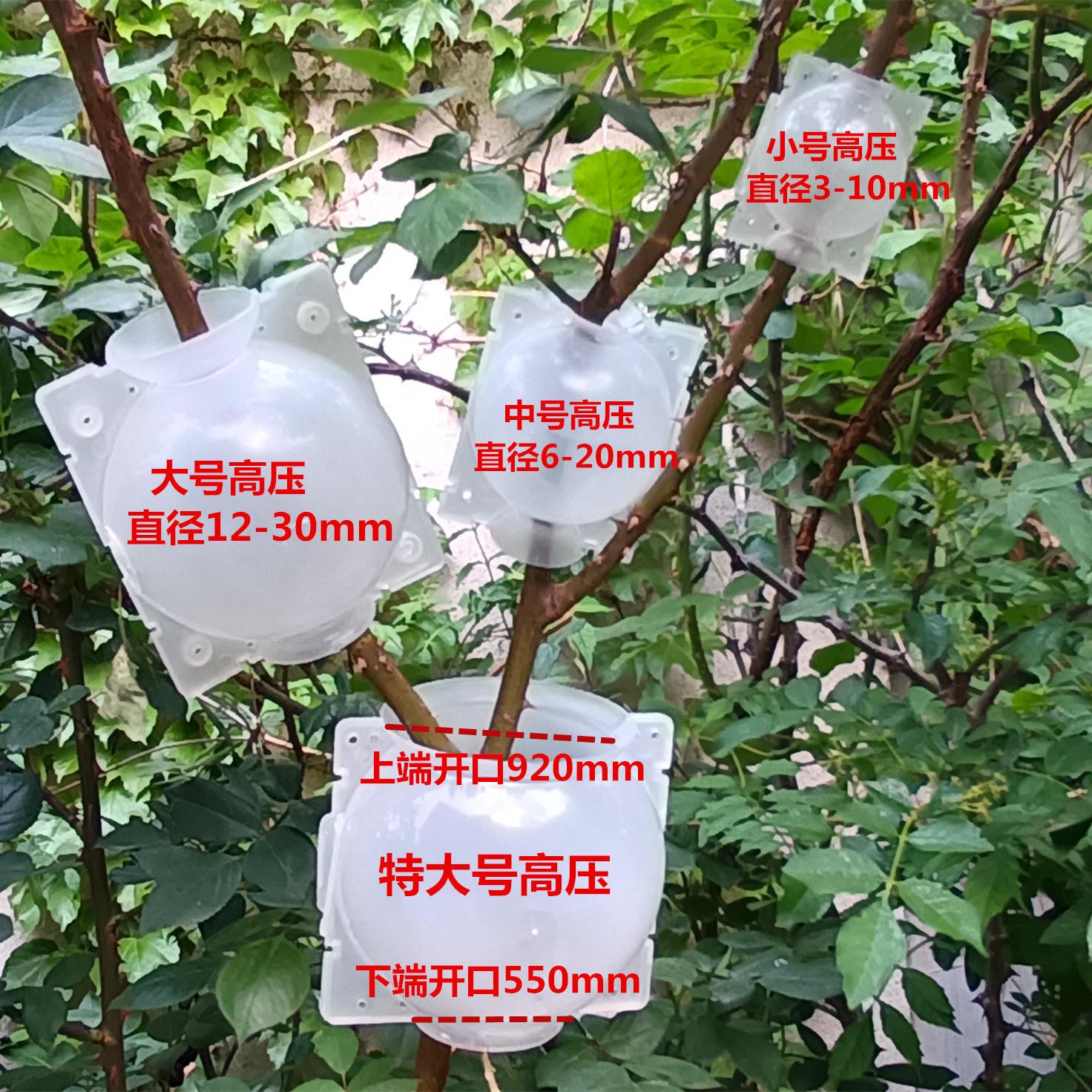 IMG_20230502_172618_副本