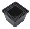 Maceta Cuadrada de Plástico para Suculentas, Maceta Cuadrada Sedum Ébano, Tronco Viejo Ultra Grueso, Racimo Pequeño, Lithops Extra Duro Blanco y Negro