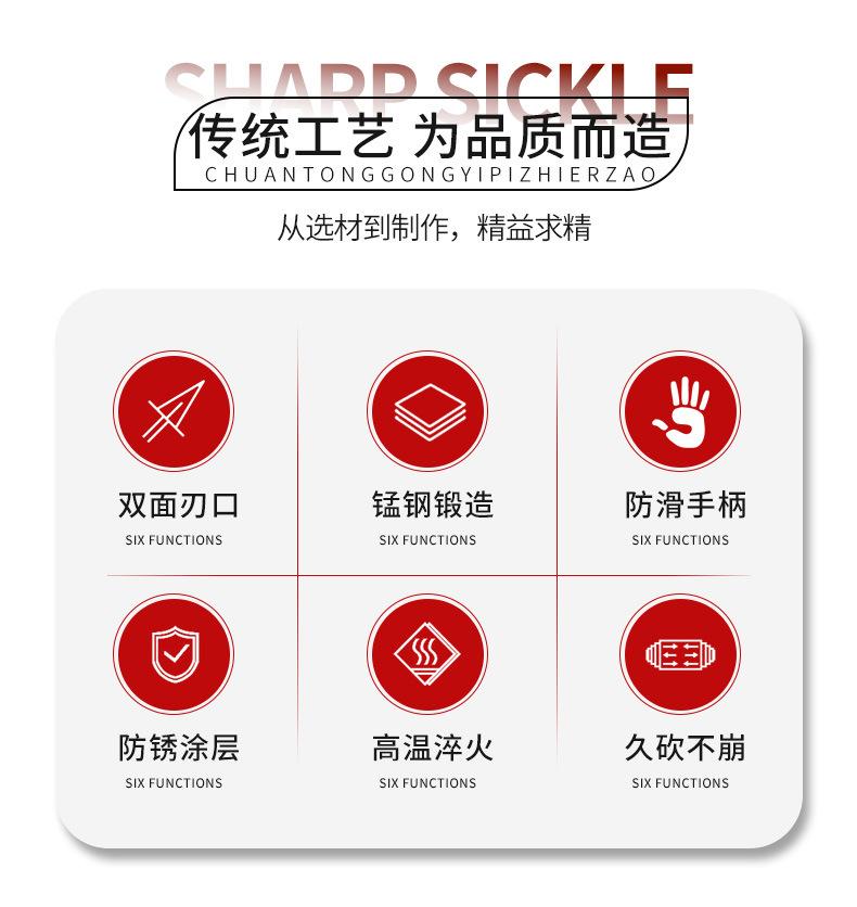 详情_02.jpg