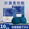 Mascarilla de Ojos al Vapor Personalizada con Luteína para Dormir, Calentador de Manos a Vapor, Parche Calentado para Ojos Secos, Directamente de la Fábrica Fuente