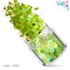 Kit de Unhas Verdes Transfronteiriço 12 Cores Misturadas Lantejoulas para Nail Art Laser Pó Escarlate Joias para Nail Art Broca Adesivo para Unha